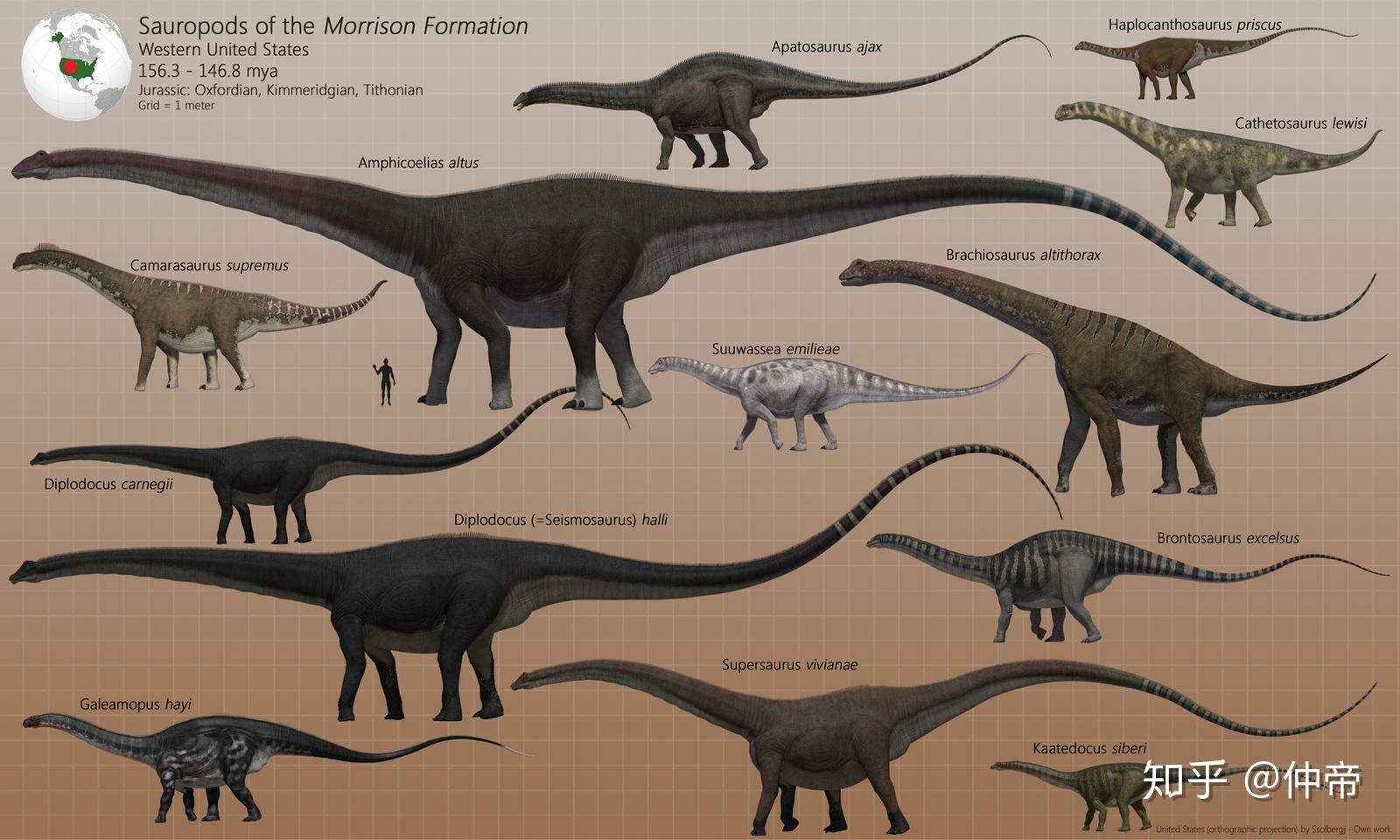 恐龙体型对比从小到大图片