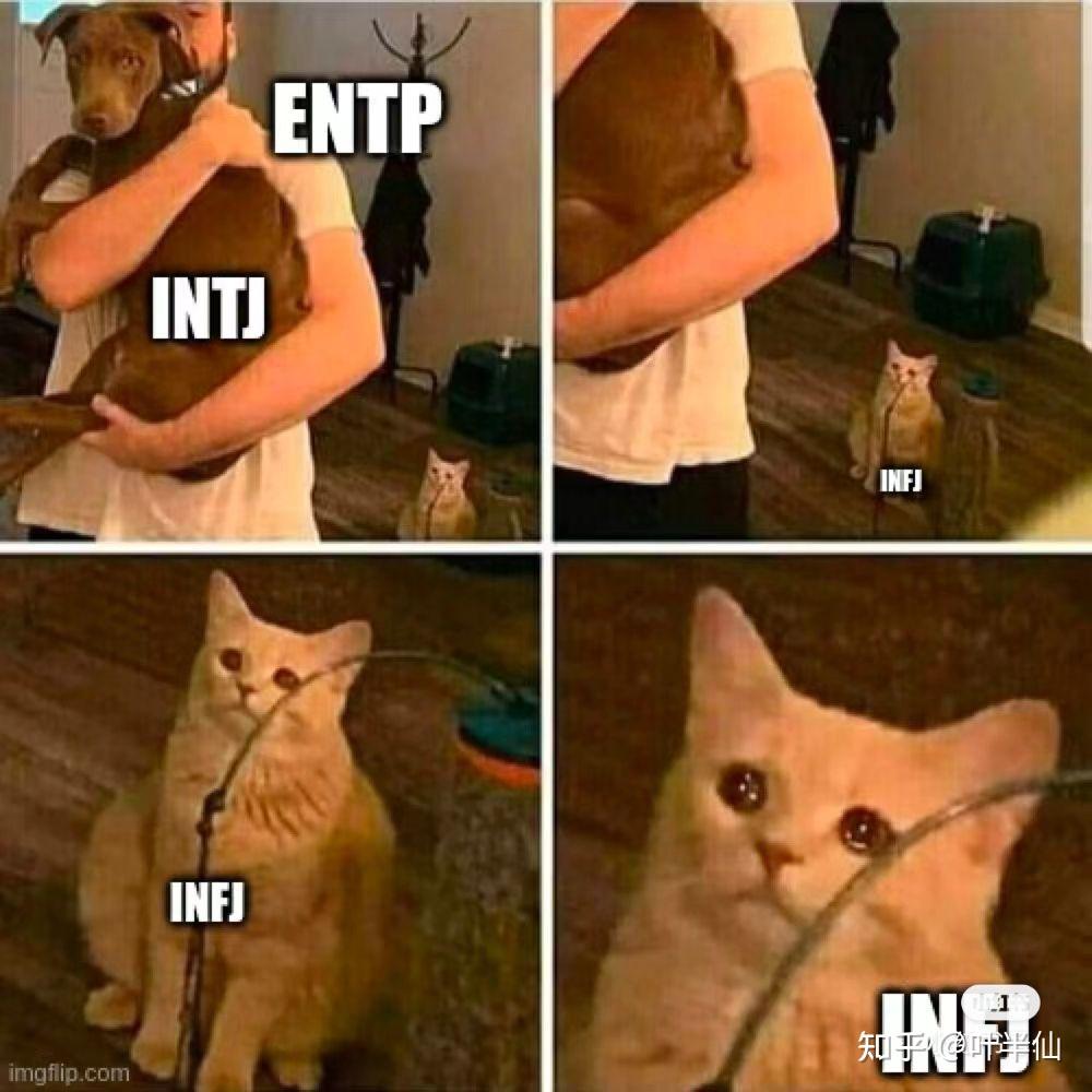 INTJ梗图一览 - 知乎
