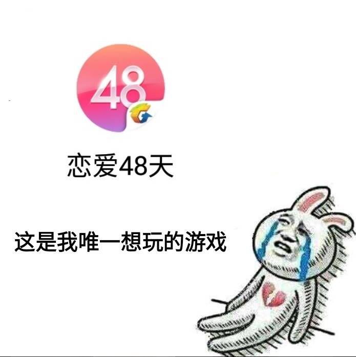 48天评价图片