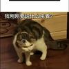 吴迪瑞