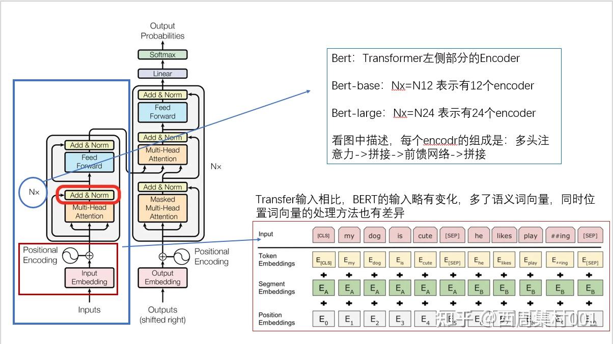 Bert模型的细节到底是怎么样的？ 知乎