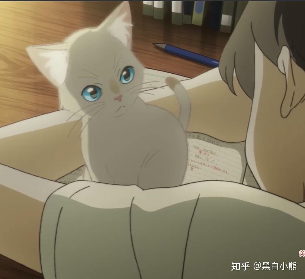 如何评价电影想哭的我戴上了猫的面具