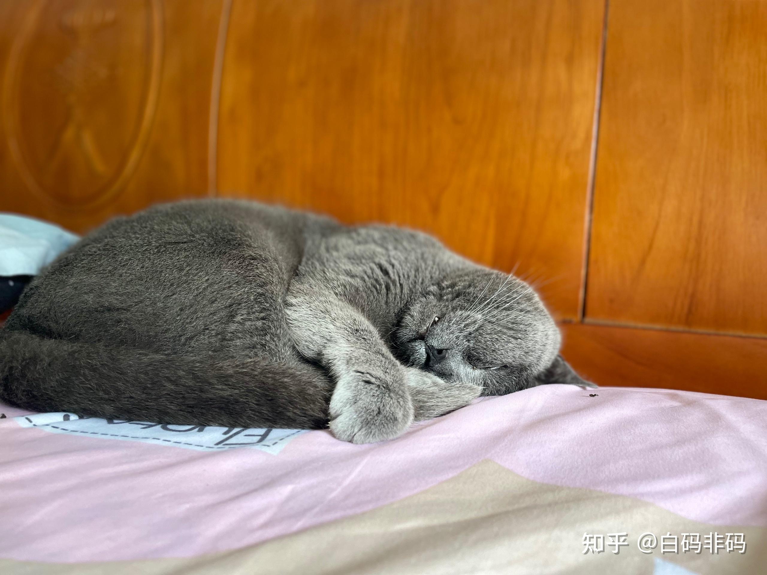 人流后拉肚子会留下病根吗为什么在线