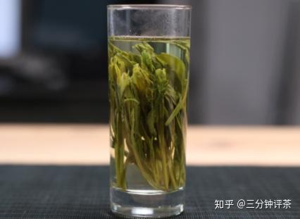 不懂茶应该怎么买茶？  第129张