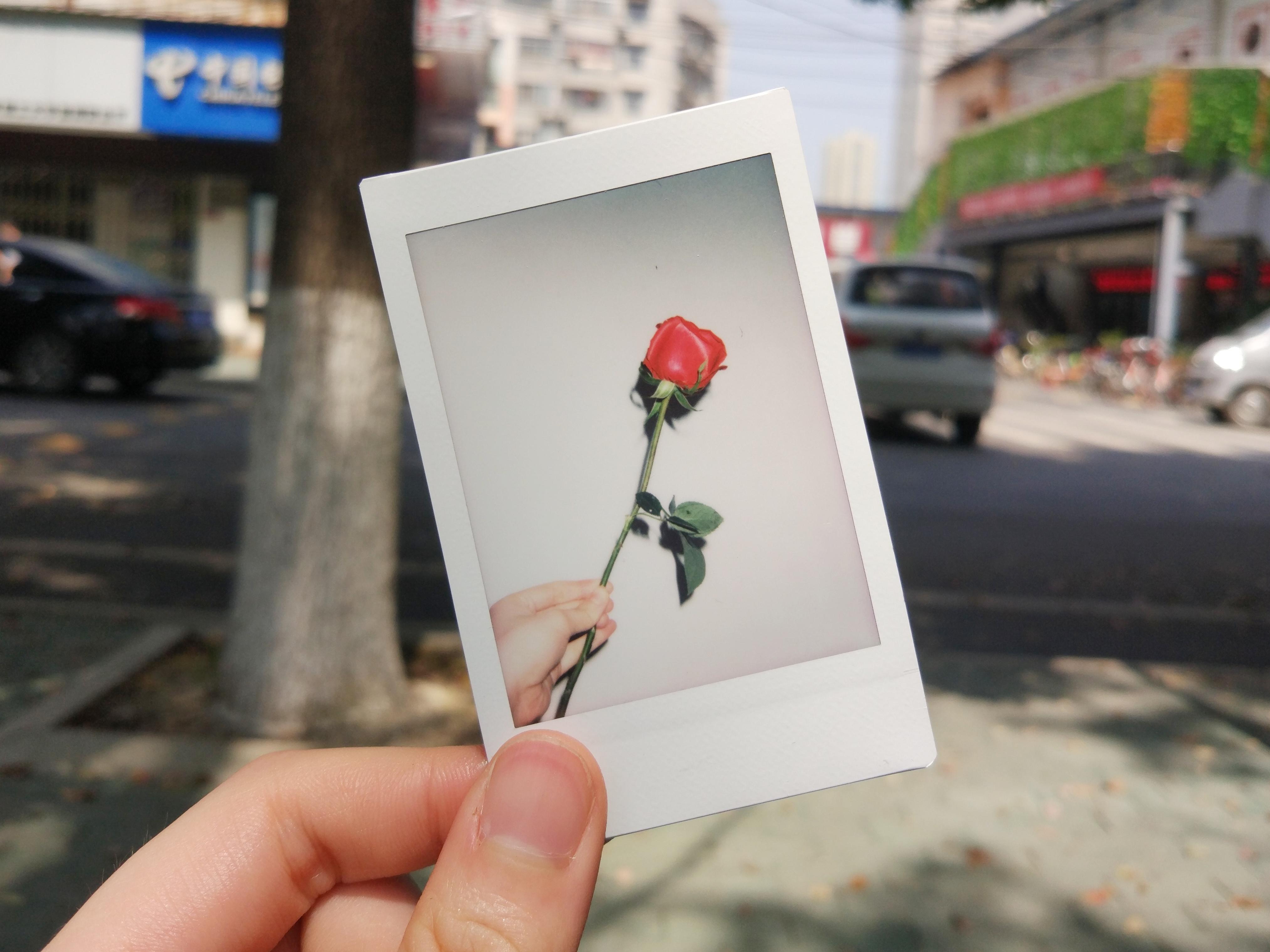 你用拍立得拍出了哪些你认为好看的照片? - 知乎