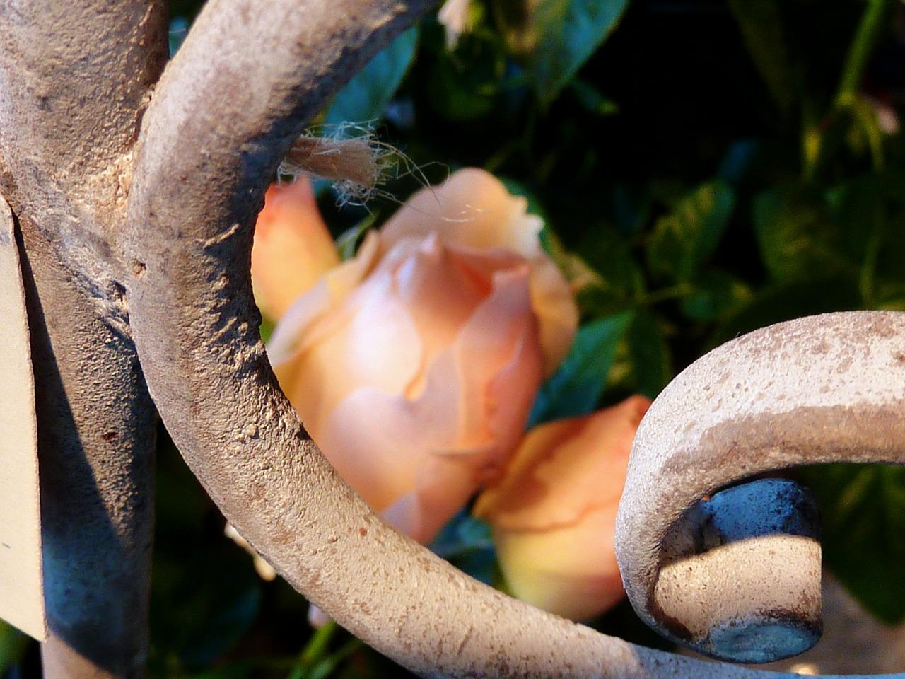 阳台砖栏杆如何加固