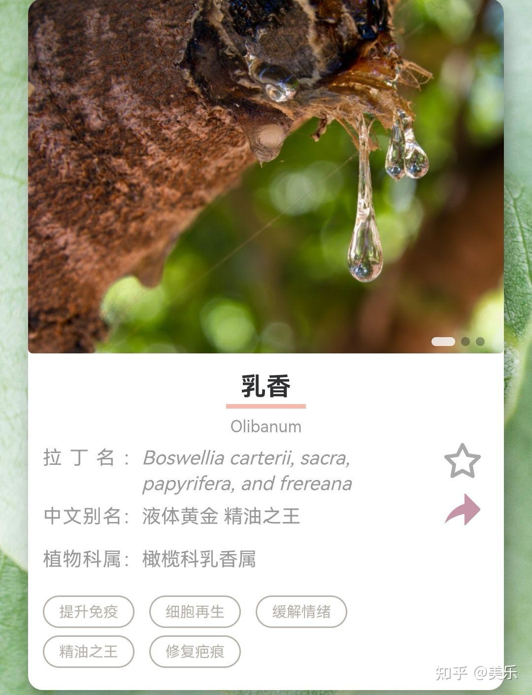 哪个精油可以实现「以油养肤」还可以缓解疲劳,安神助眠? - 知乎