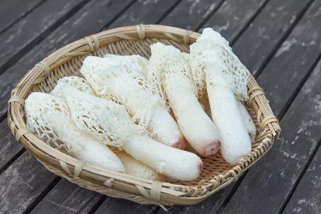 武陵山珍丨"草八珍"之一竹荪