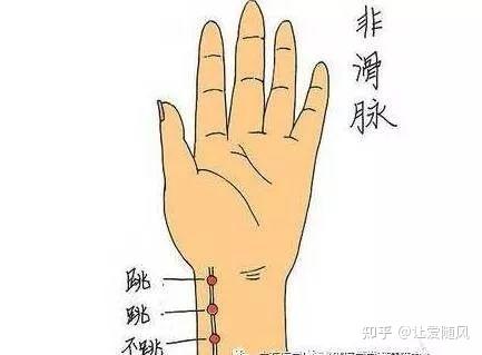 脉诊：自学诊脉（干货） - 知乎