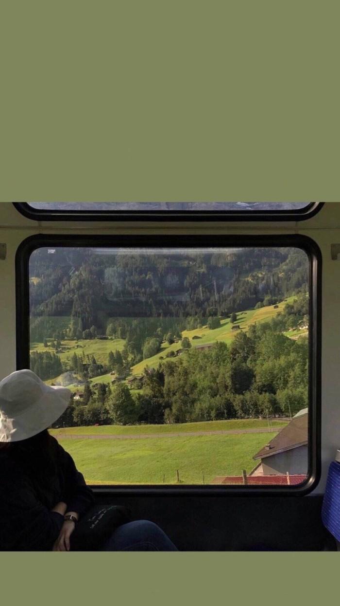 有哪些极富美感的绿色系壁纸?(绿色壁纸唯美小清新)