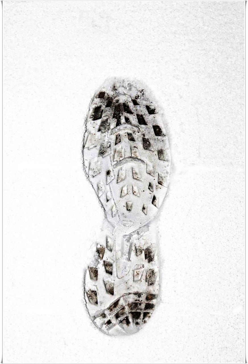 冬日暖阳下的慵懒午后