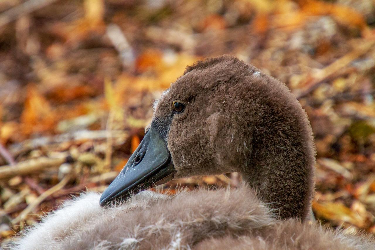 3. 旅行团行程安排