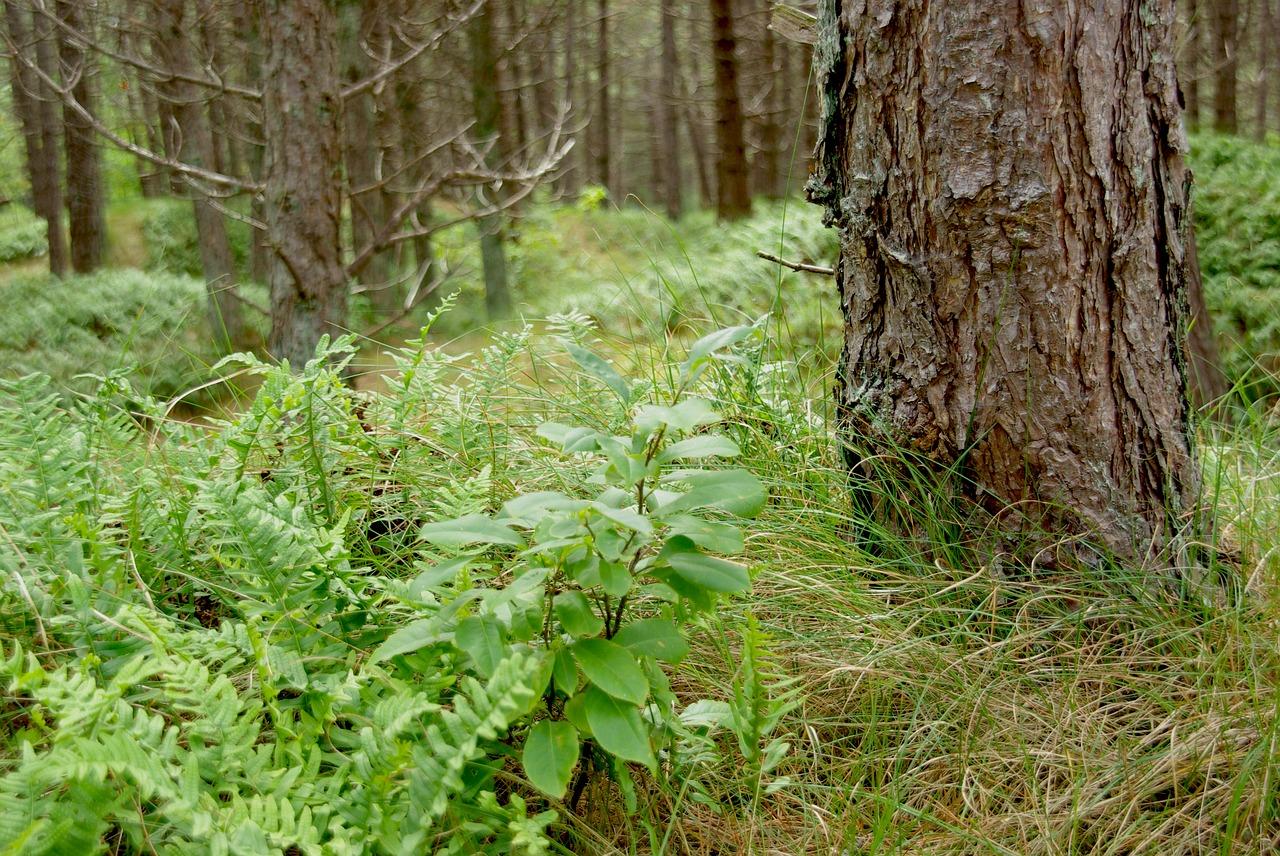 4. 混凝土浇筑加固