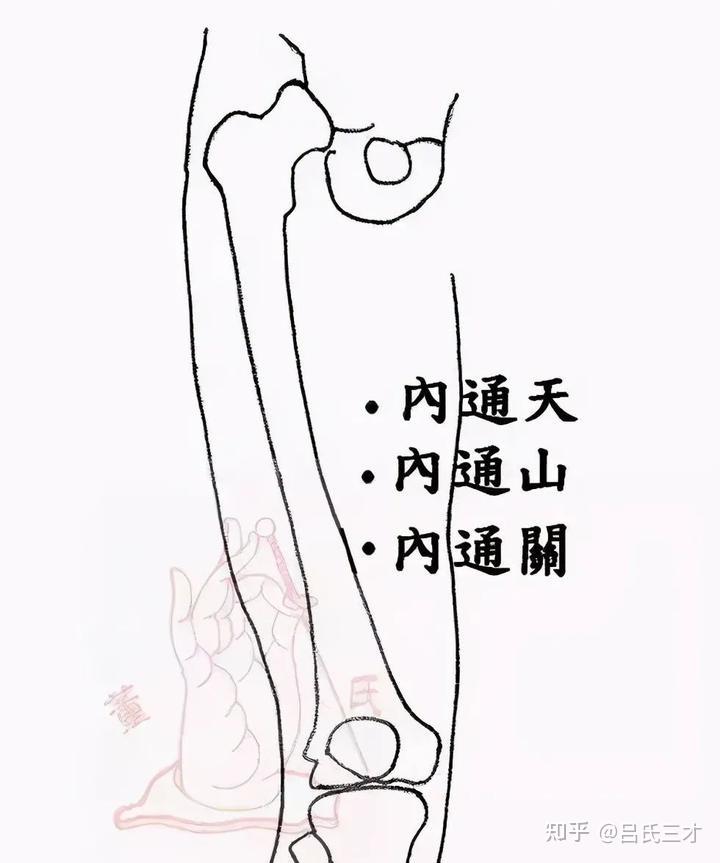董氏奇穴10大穴位解析,治疗效果看得见 - 知乎
