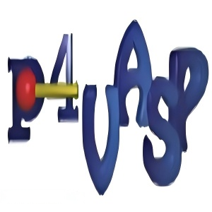 【科研干货】免费领取！！Vasp必备辅助工具—P4Vasp图形化处理软件（正文附详细安装教程！！） - 知乎