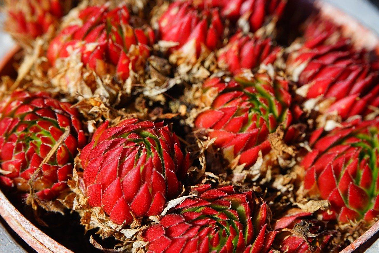 花桥蟹味馆探秘