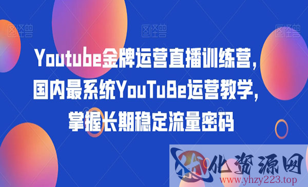 《Youtube金牌运营直播训练营》国内最系统YouTuBe运营教学，掌握长期稳定流量密码_wwz