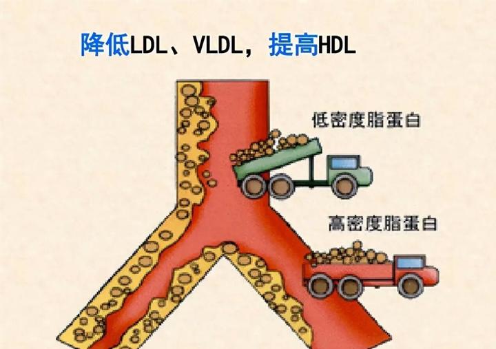 公认引起血管硬化的“坏东西”,再添新“克星”,降到多少更安全 - 知乎