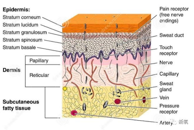 脸上有很多斑褐青色痣和雀斑混合请问是用皮秒还是普