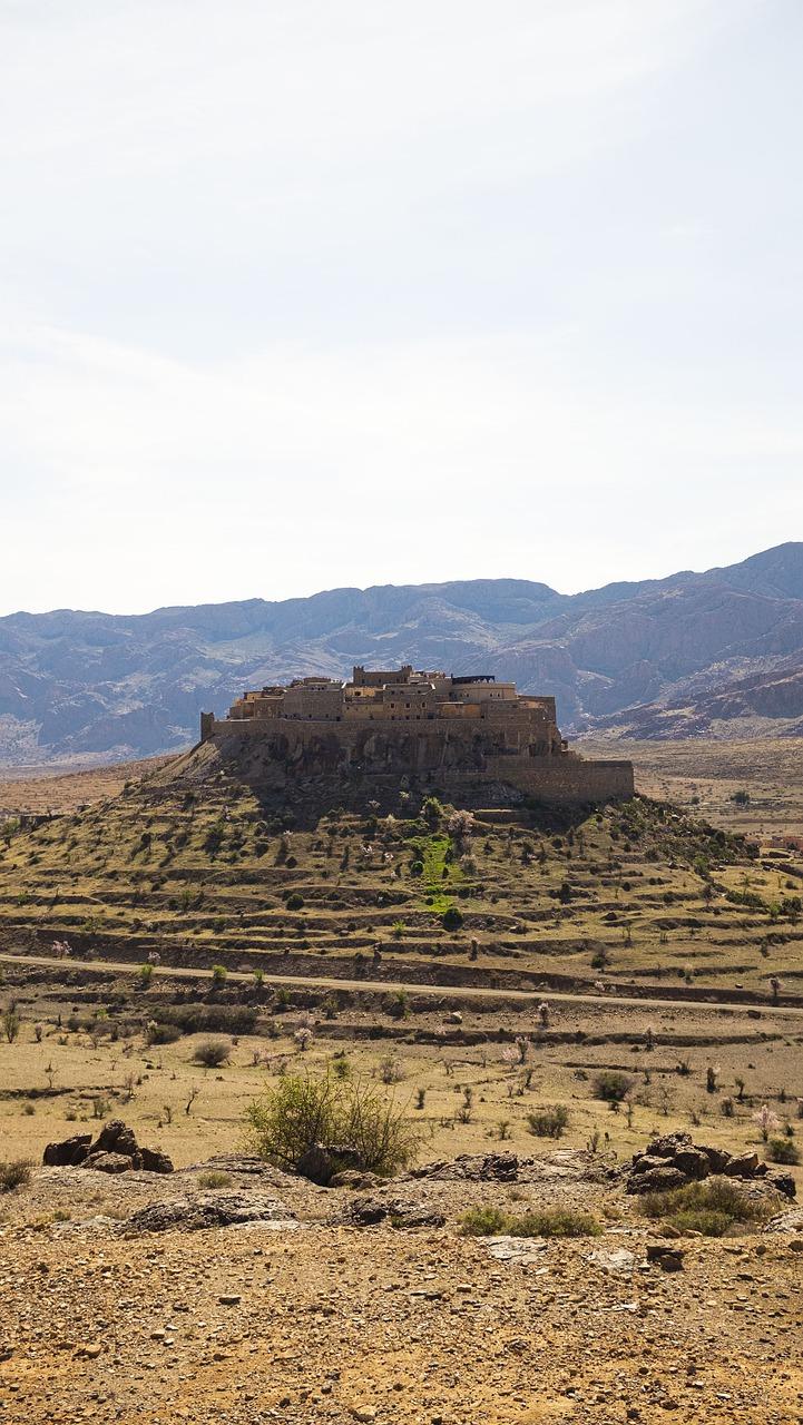 5. 市场供需变化