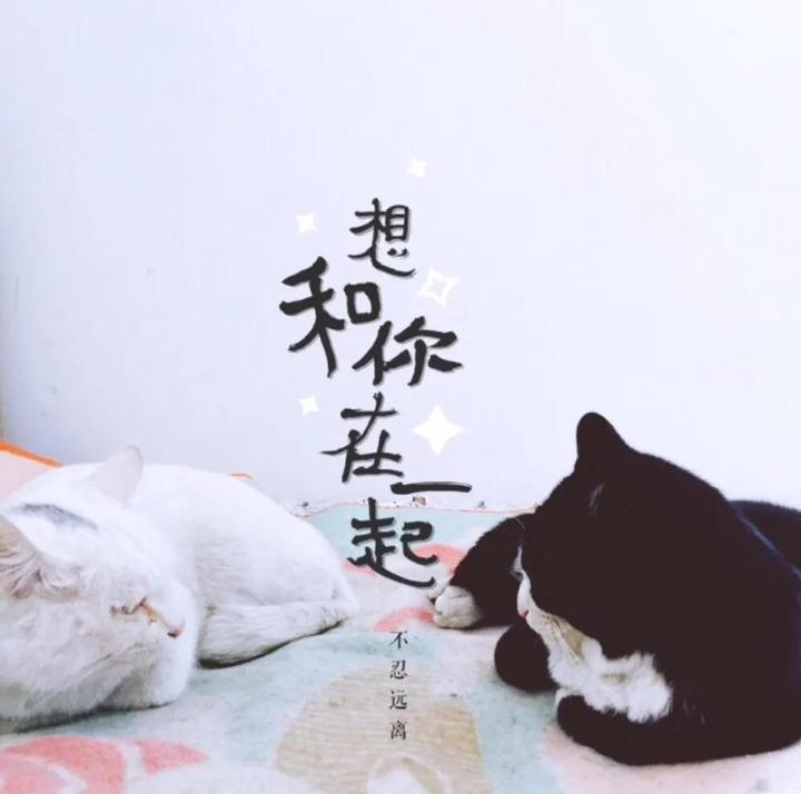 20个很撩的小表情超级适合跟对象聊天用
