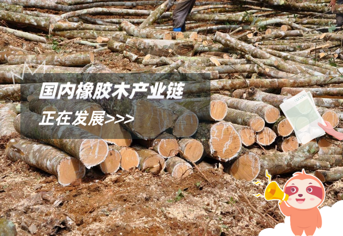 橡胶木产业发展前景可观 - 知乎