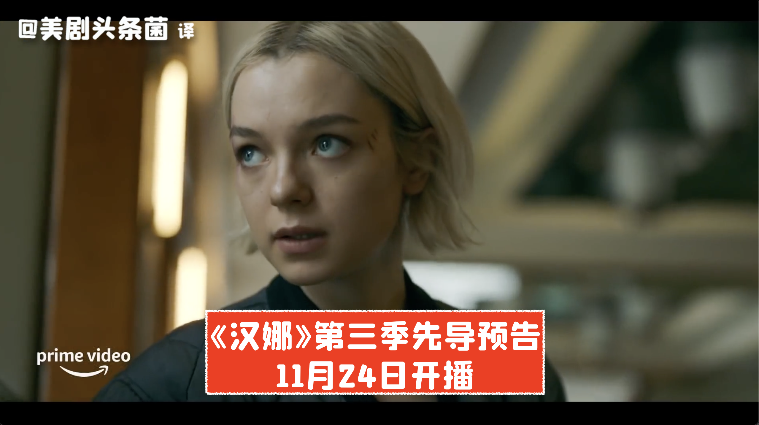 少女杀手如何对抗组织汉娜第三季先导预告