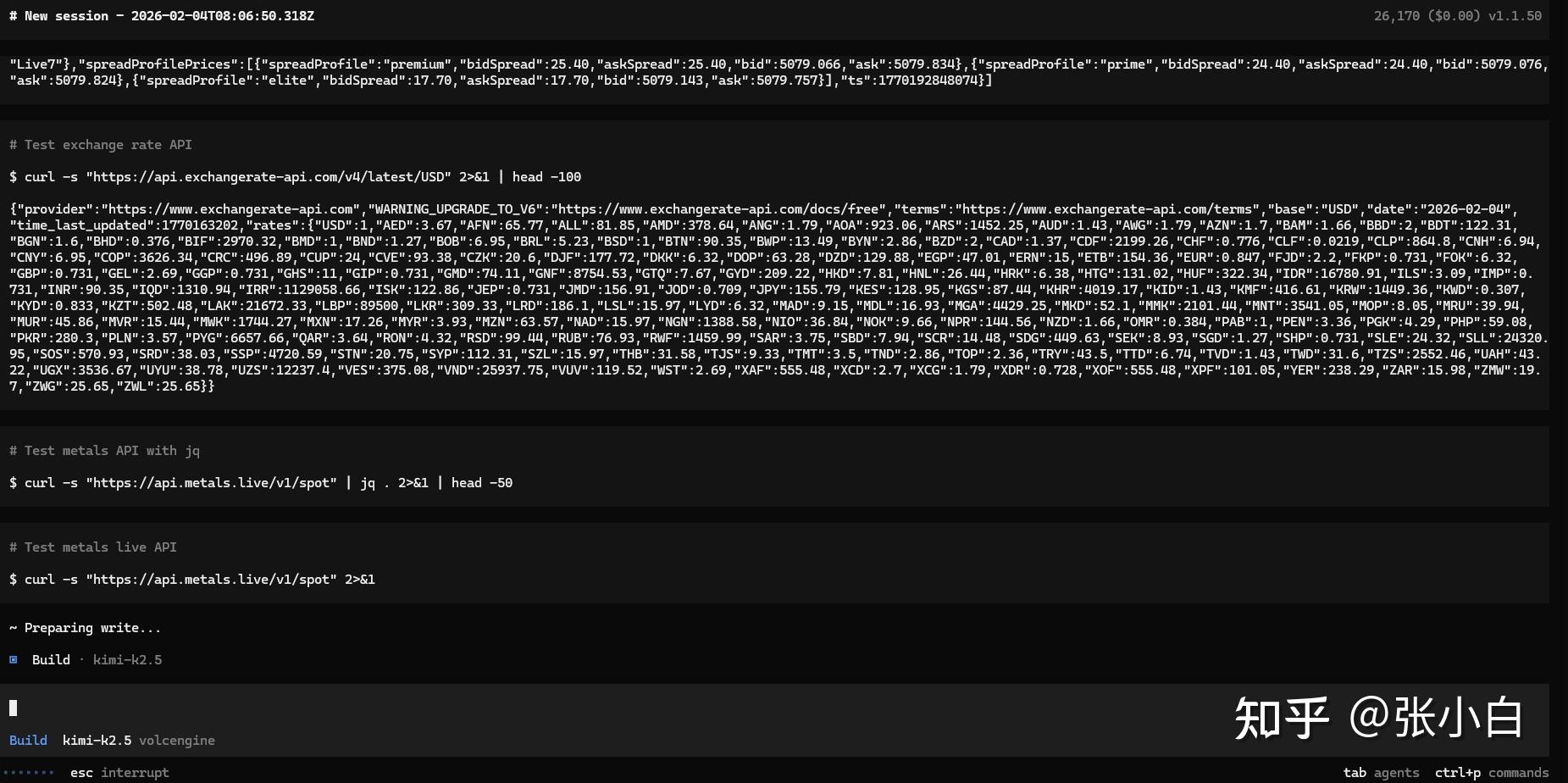 使用OpenCode+方舟CodingPlan体验AgentSkills - 知乎