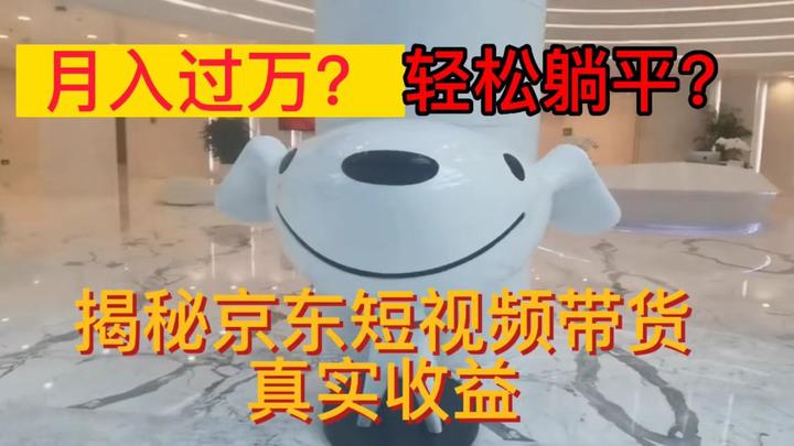 京东短视频带货月入过万?轻松躺平? - 知乎