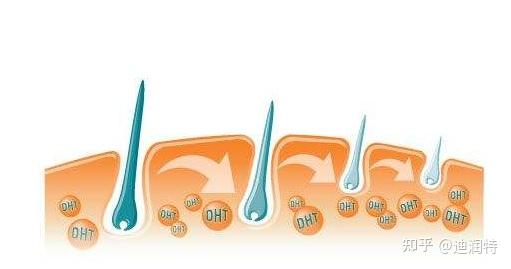 有狐臭做手术能根除吗？狐臭手术有用吗？ - 知乎