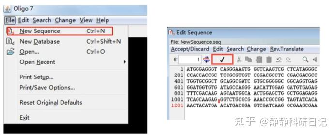 使用oligo7.0设计引物、评价引物以及如何尽量避免二聚体/发卡结构的产生 - 知乎