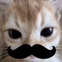 Zhihu profile picture for @frightened