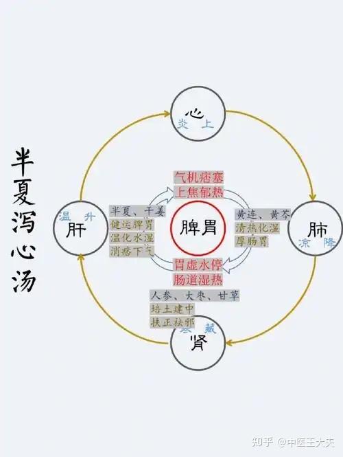 五种泻心汤的功效和区别 - 知乎