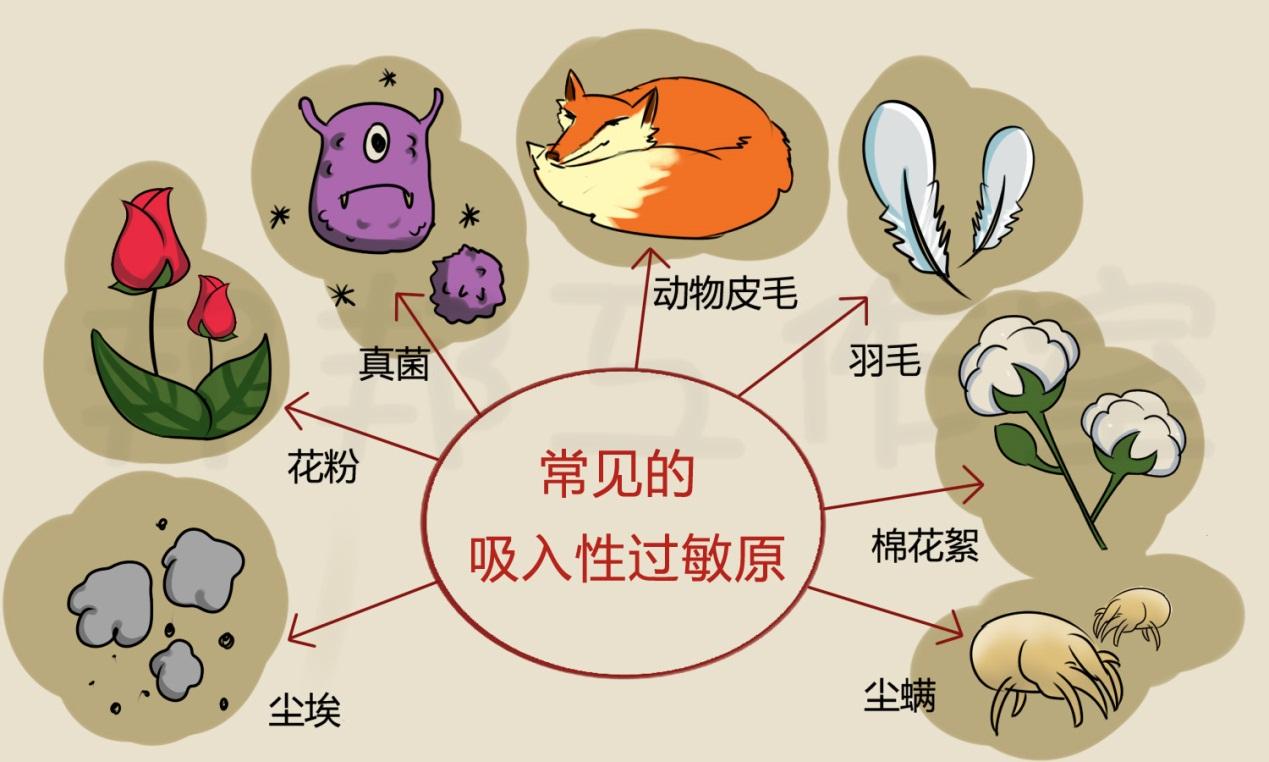 过敏性鼻炎为什么会造成眼睛瘙痒? - 知乎