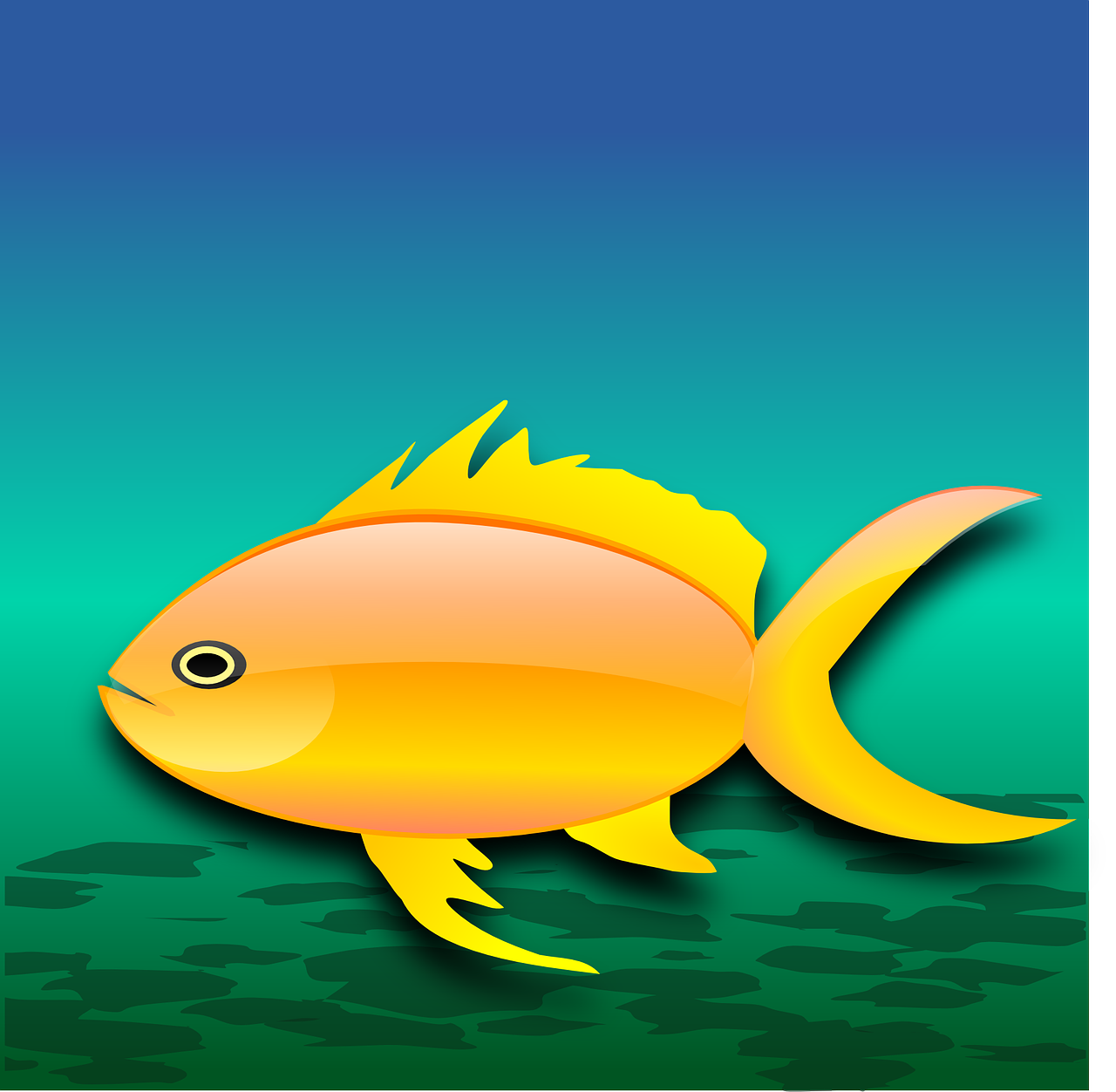 金鱼的食物趣事