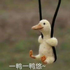 送礼物用户