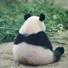 user-profile-image