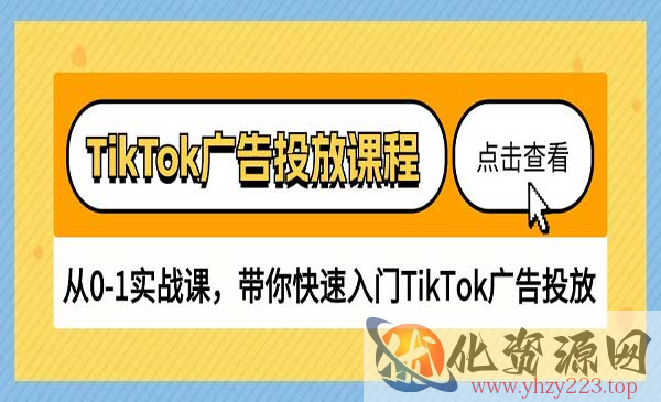 TikTok广告投放课程_wwz