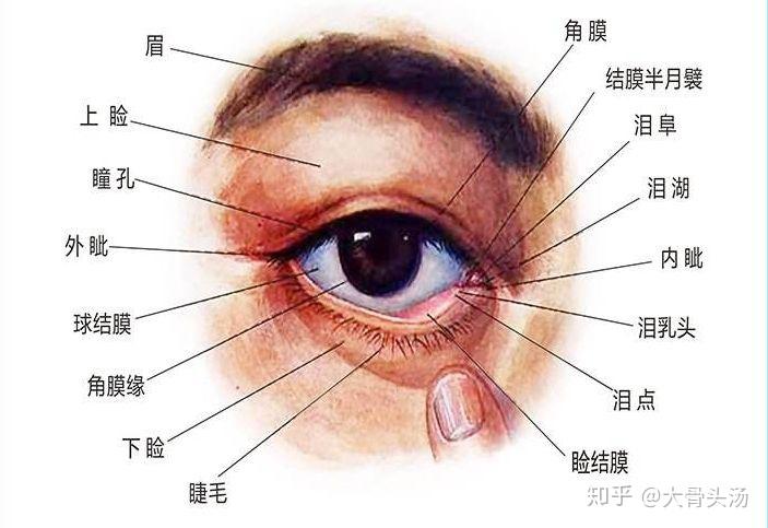 麦粒肿怎么较快恢复是外麦粒肿刚长起来