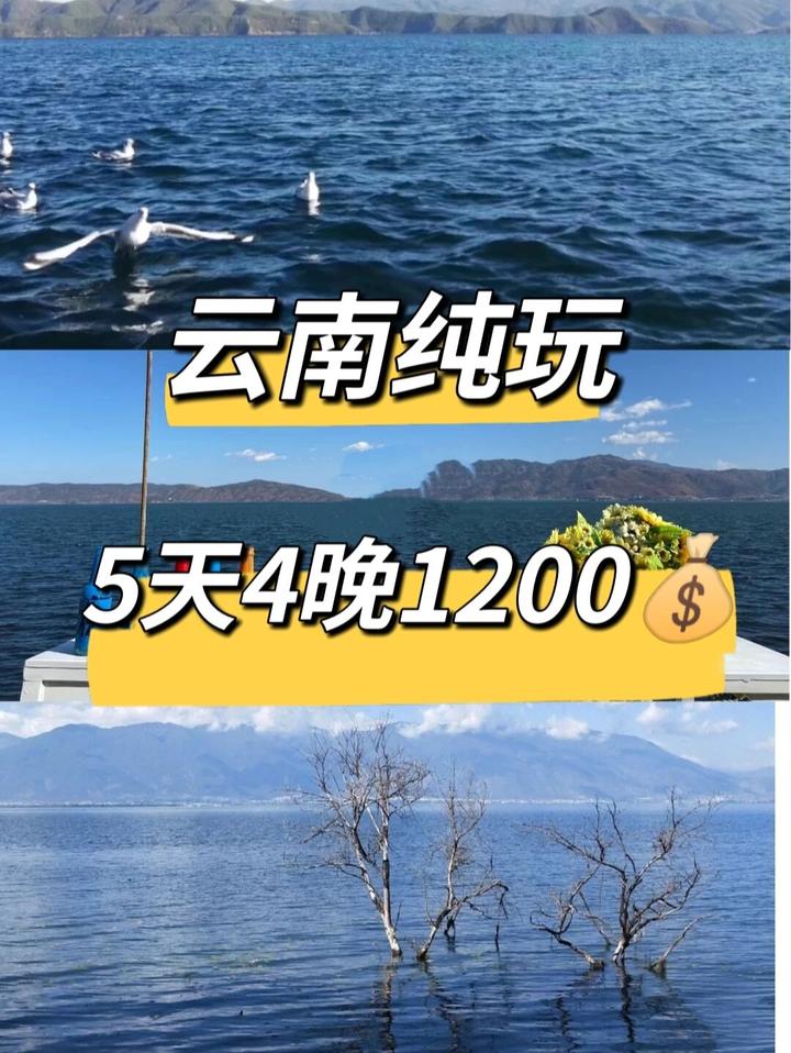 云南纯玩游,5天4晚1200💰旅游攻略 - 知乎
