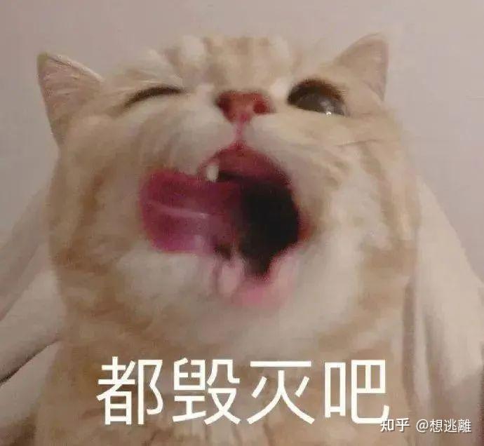 奇怪的搞笑必备表情包又增加了~ - 知乎