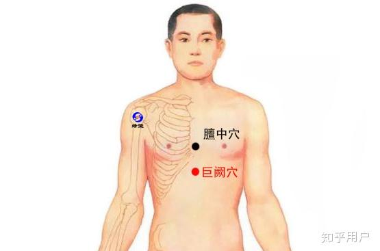 心窝部在哪里图片图片