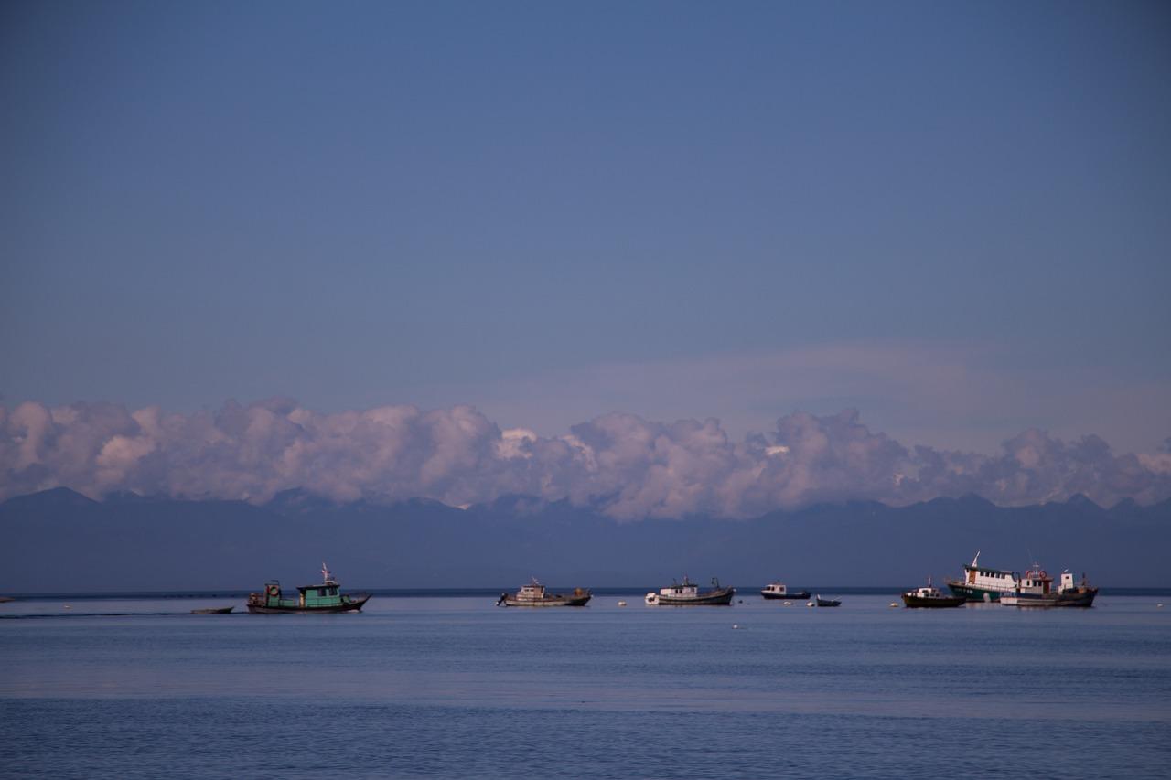 4. 松木家具选购