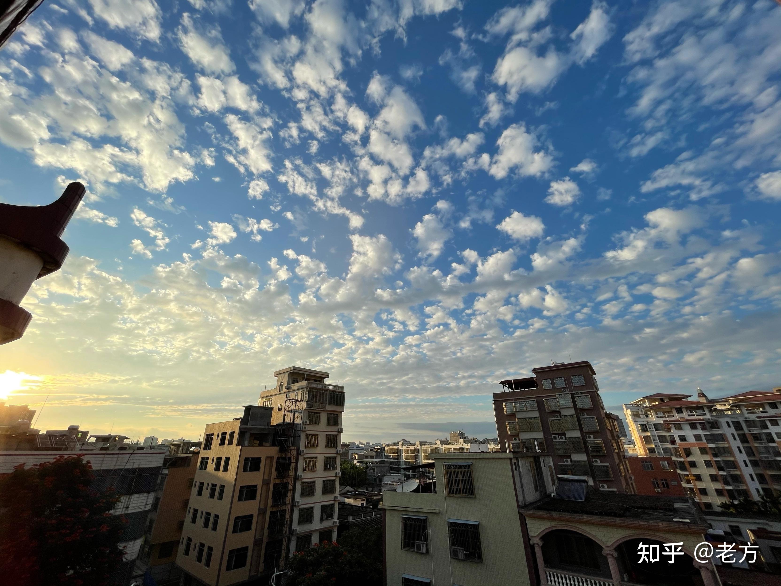 收購iPhone13Promax