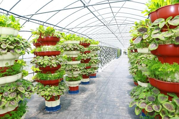 五种新型农业种植技术，总有一种适合你！ - 知乎