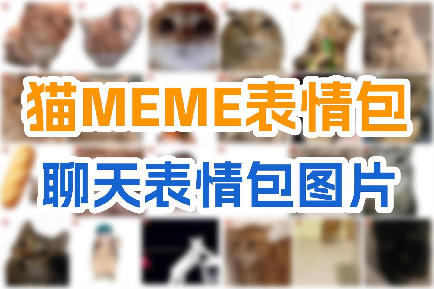猫meme表情包合集|150张动态GIF表情包 聊天表情包图片大全 - 知乎