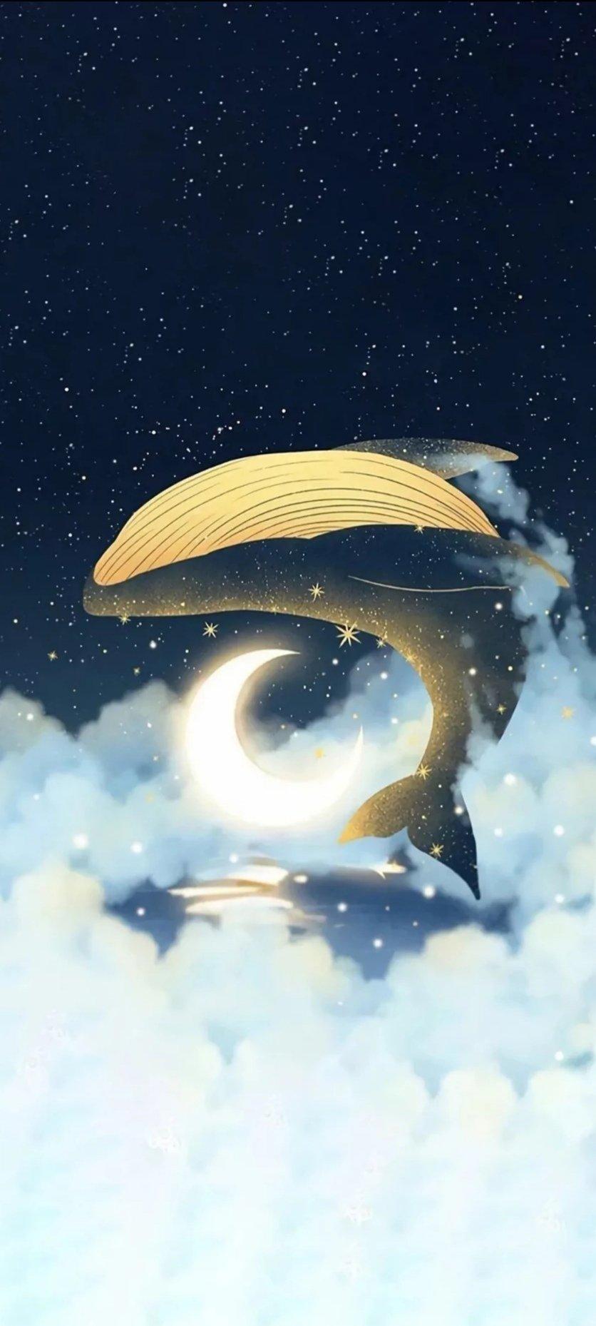 有什么超级无敌好看高清的手机壁纸吗? - 知乎