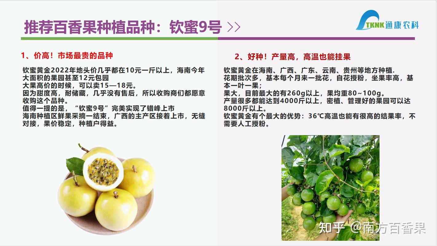 钦蜜9号黄金百香果66问，万字干货赶紧学习收藏！ - 知乎