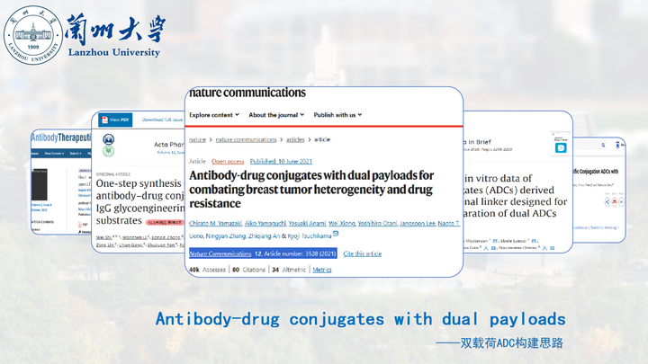 双载荷ADC的构建思路| Antibody-drug conjugates with dual payloads - 知乎