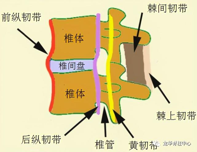 颈椎后纵韧带骨化是怎么回事?